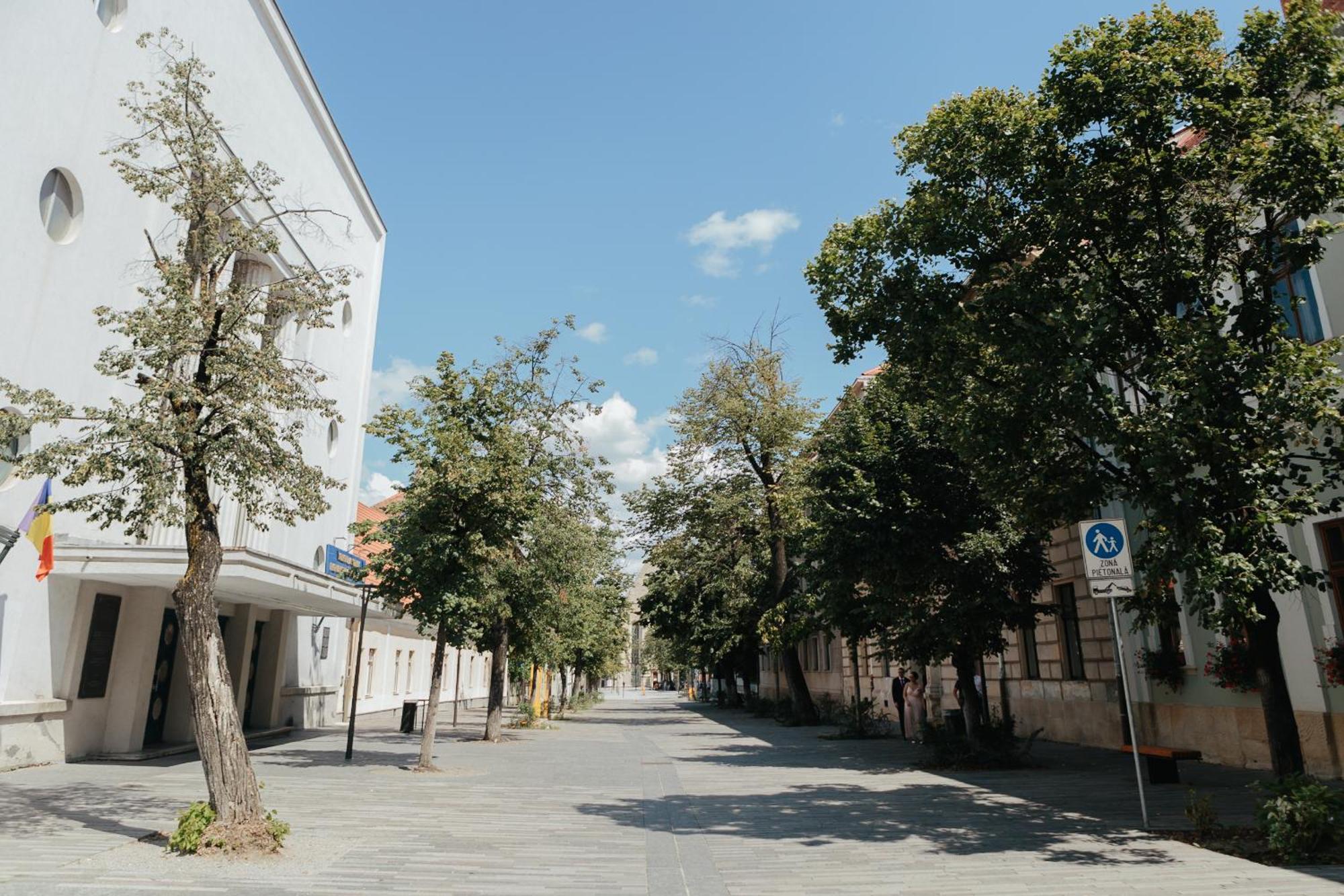 Contessa Central Studio Cluj-Napoca Buitenkant foto